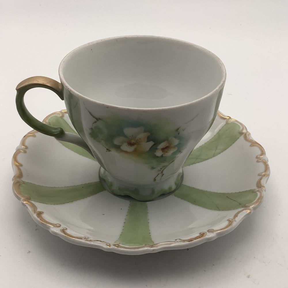 Vintage Bavaria Seltzmann Weiden Hand-Painted Cup and Saucer